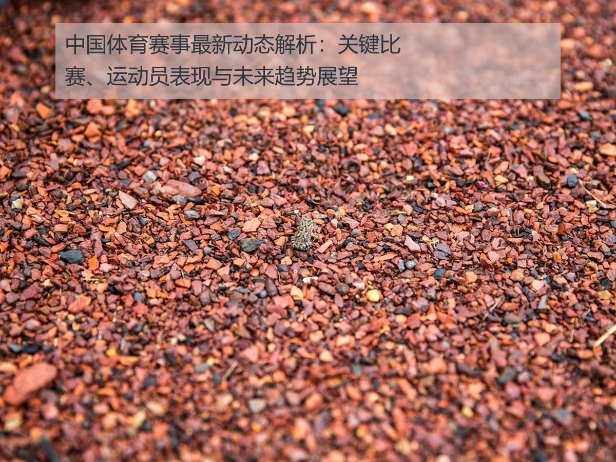 中国体育赛事最新动态解析:关键比赛、运动员表现与未来趋势展望