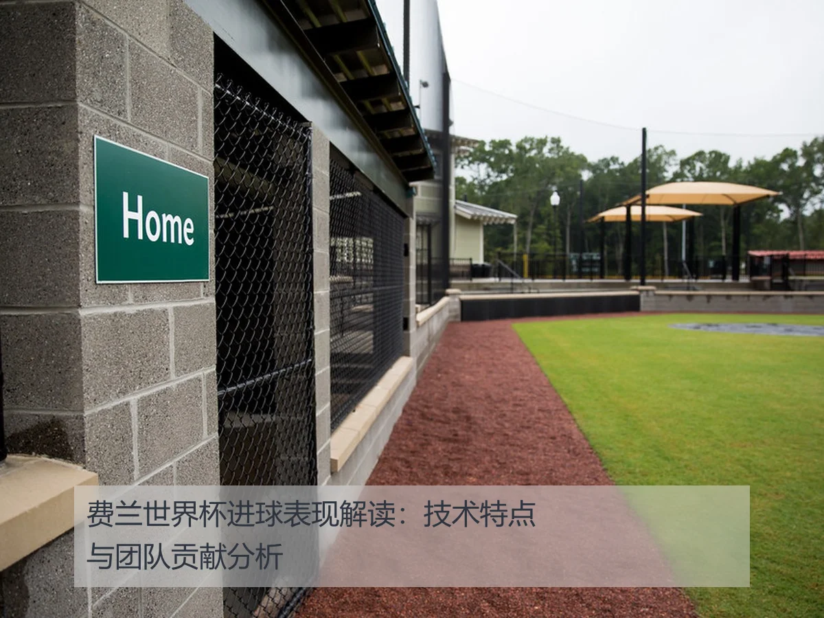 费兰世界杯进球表现解读:技术特点与团队贡献分析